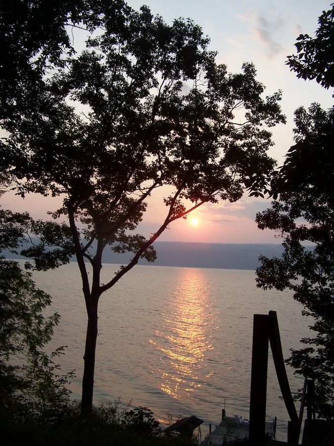 Sunrise Landing Bed And Breakfast Dundee Esterno foto